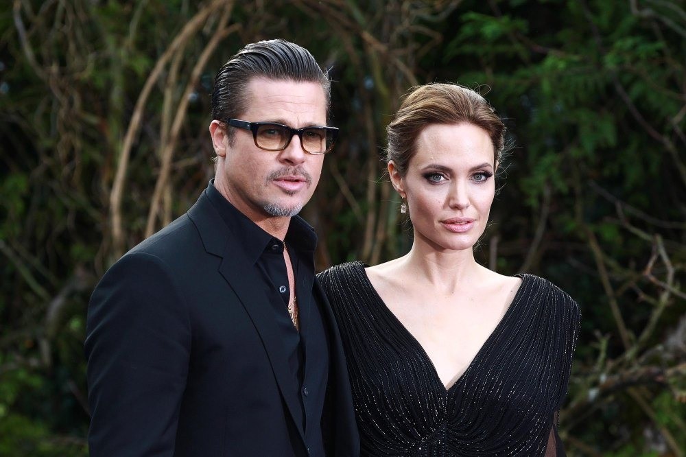 Brad Pitt sau khi bị các con ruồng bỏ- Ảnh 6.