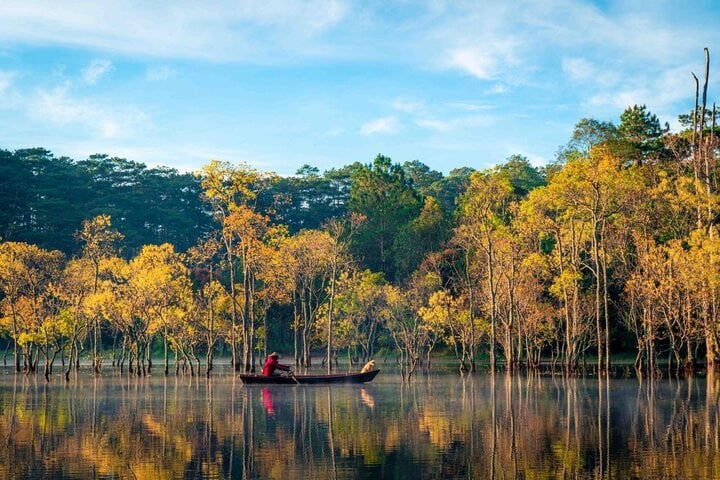 Suối Tía hồ Tuyền Lâm mùa lá vàng đẹp như tranh- Ảnh 1.