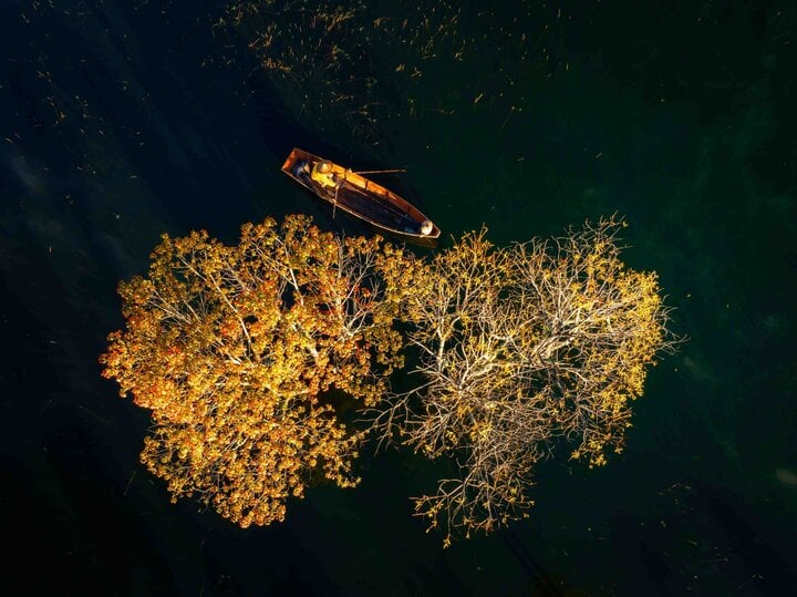 Suối Tía hồ Tuyền Lâm mùa lá vàng đẹp như tranh- Ảnh 2.