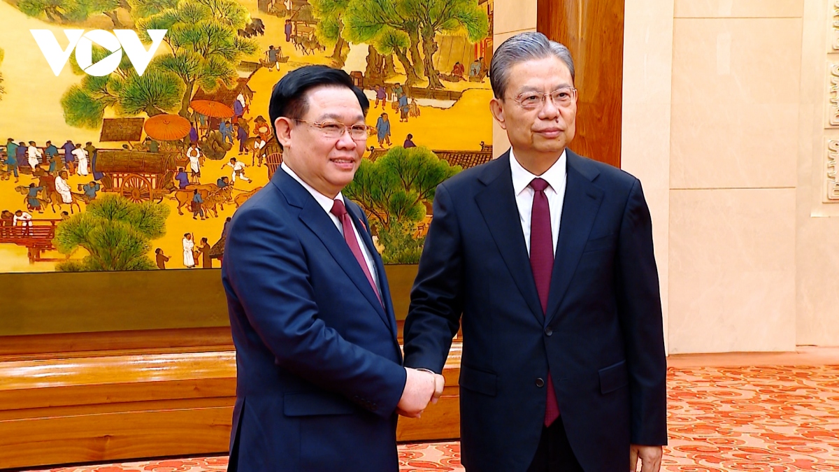 Chủ tịch Quốc hội Vương Đình Huệ hội đàm với Ủy viên trưởng Nhân đại toàn quốc Trung Quốc Triệu Lạc Tế- Ảnh 11.