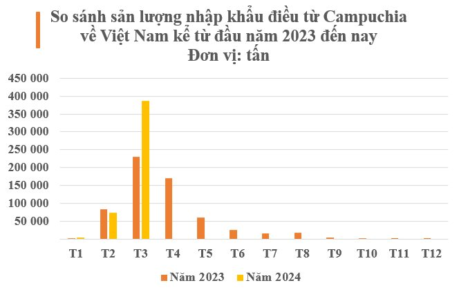 Xuất khẩu 98% loại 'hạt vàng hạt bạc' này sang Việt Nam, người Campuchia tiếc nuối: 'Sản phẩm của chúng ta ngon, chất lượng tốt nhưng thiếu công nghệ chế biến'- Ảnh 3.