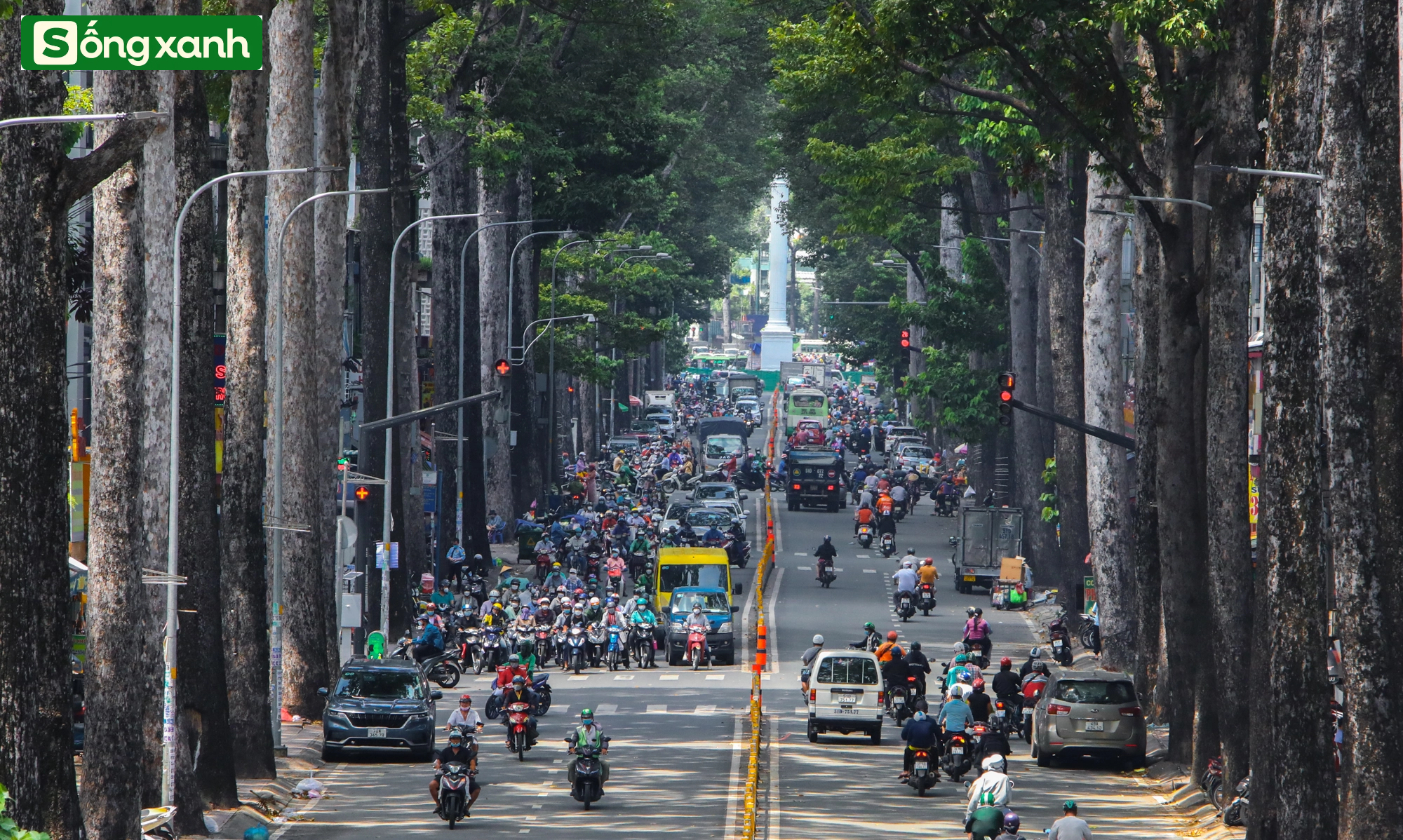Những 'khu rừng' xanh mát quý như ngọc ở thành phố giàu có và đông dân nhất Việt Nam- Ảnh 12.