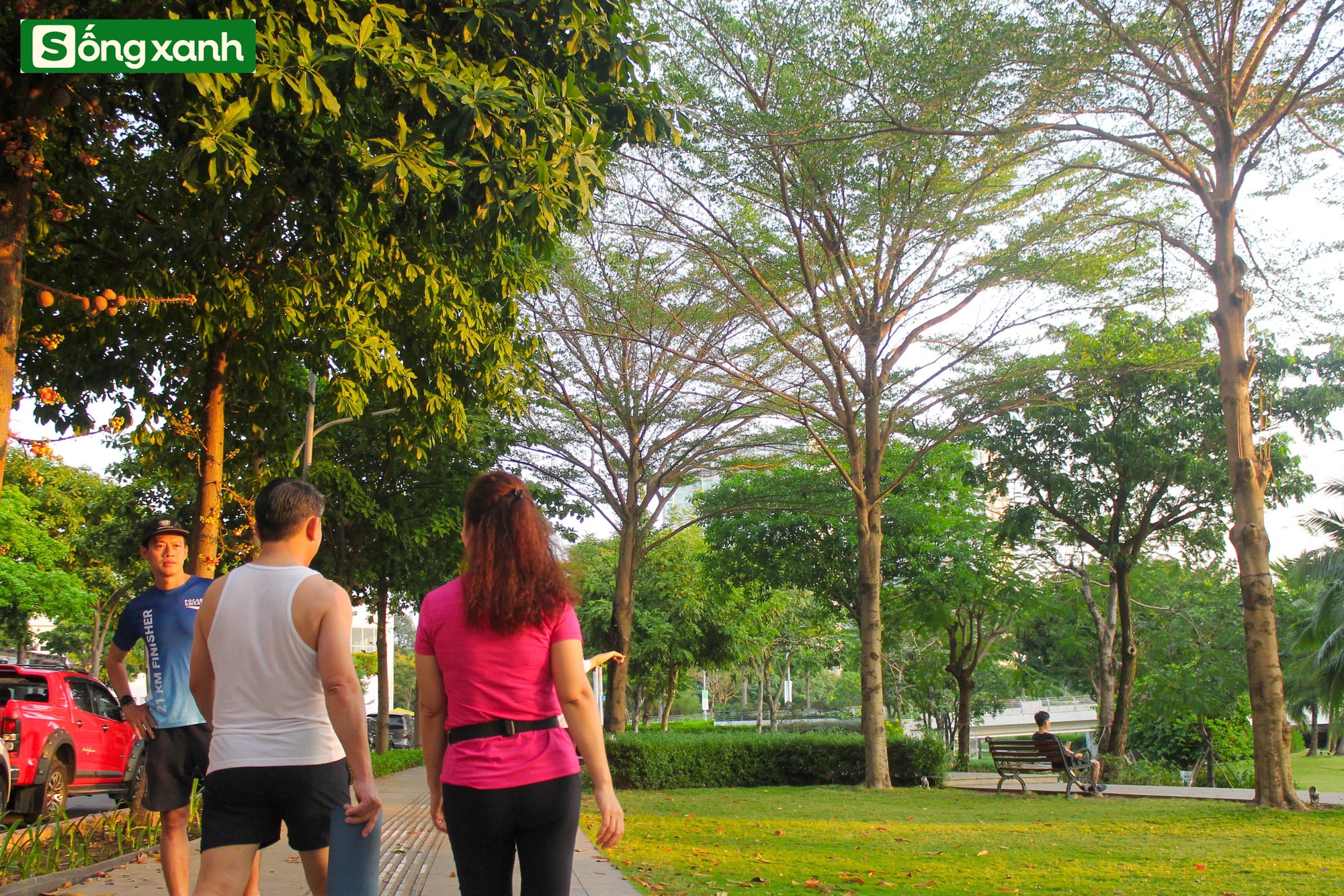 Những 'khu rừng' xanh mát quý như ngọc ở thành phố giàu có và đông dân nhất Việt Nam- Ảnh 19.