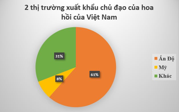 Loại hoa trồng 1 lần thu hoạch 80 năm này được Ấn Độ cực kỳ yêu thích: Việt Nam xuất gần 4.000 tấn từ đầu năm- Ảnh 4.