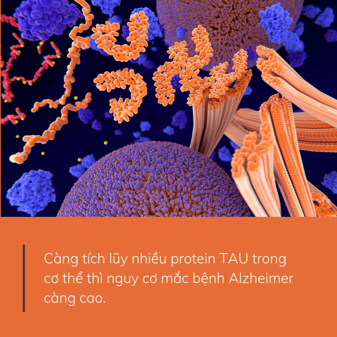 Bộ não của người ngủ trưa dưới 1 giờ và trên 1 giờ có sự khác biệt thế nào? Nghiên cứu mới làm bừng tỉnh nhận thức của nhiều người- Ảnh 2.