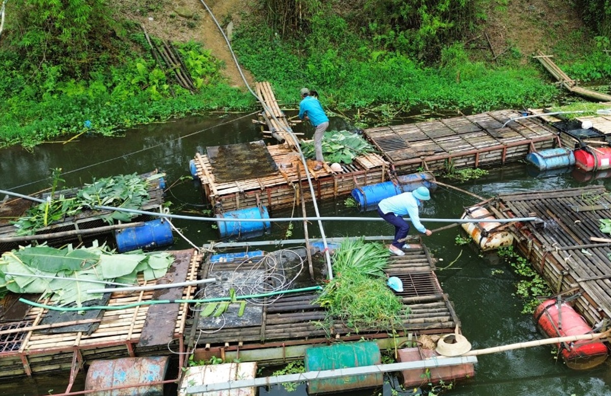 Nước sông Mã đen ngòm bất thường ở khu vực cá chết hàng loạt- Ảnh 8.