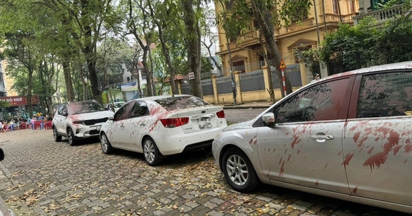 Khởi tố, bắt 4 người vụ tạt sơn nhiều xe ôtô