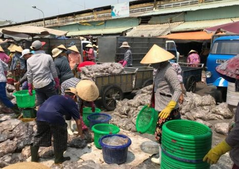 Hàn Quốc, Trung Quốc đua nhau săn lùng mặt hàng này của Việt Nam: Thu hơn 138 triệu USD kể từ đầu năm, nước ta đứng thứ 3 thế giới về xuất khẩu- Ảnh 1.