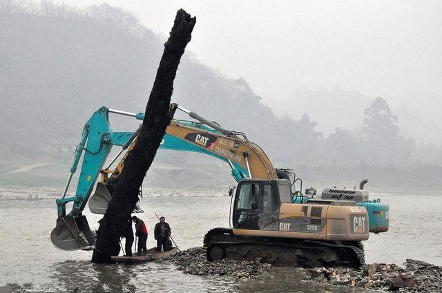 Cây gỗ dài 22m, nặng 60 tấn được phát hiện dưới sông: Giá trị ước tính hơn 10 tỷ đồng khiến cảnh sát phải phong tỏa hiện trường, máy xúc mất 2 ngày mới trục vớt được- Ảnh 1.