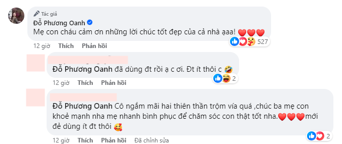 Phương Oanh lên tiếng nói 1 câu hậu khoe nhóc tỳ song sinh, ai dè bị netizen nhắc nhở điều này- Ảnh 3.