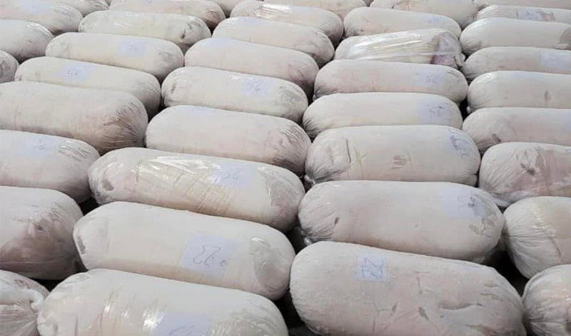 Giá heo hơi vào "sóng" tăng sắp chạm mốc 70.000 đồng/kg, nhiều "ông lớn" đua nhau tái đàn- Ảnh 1.