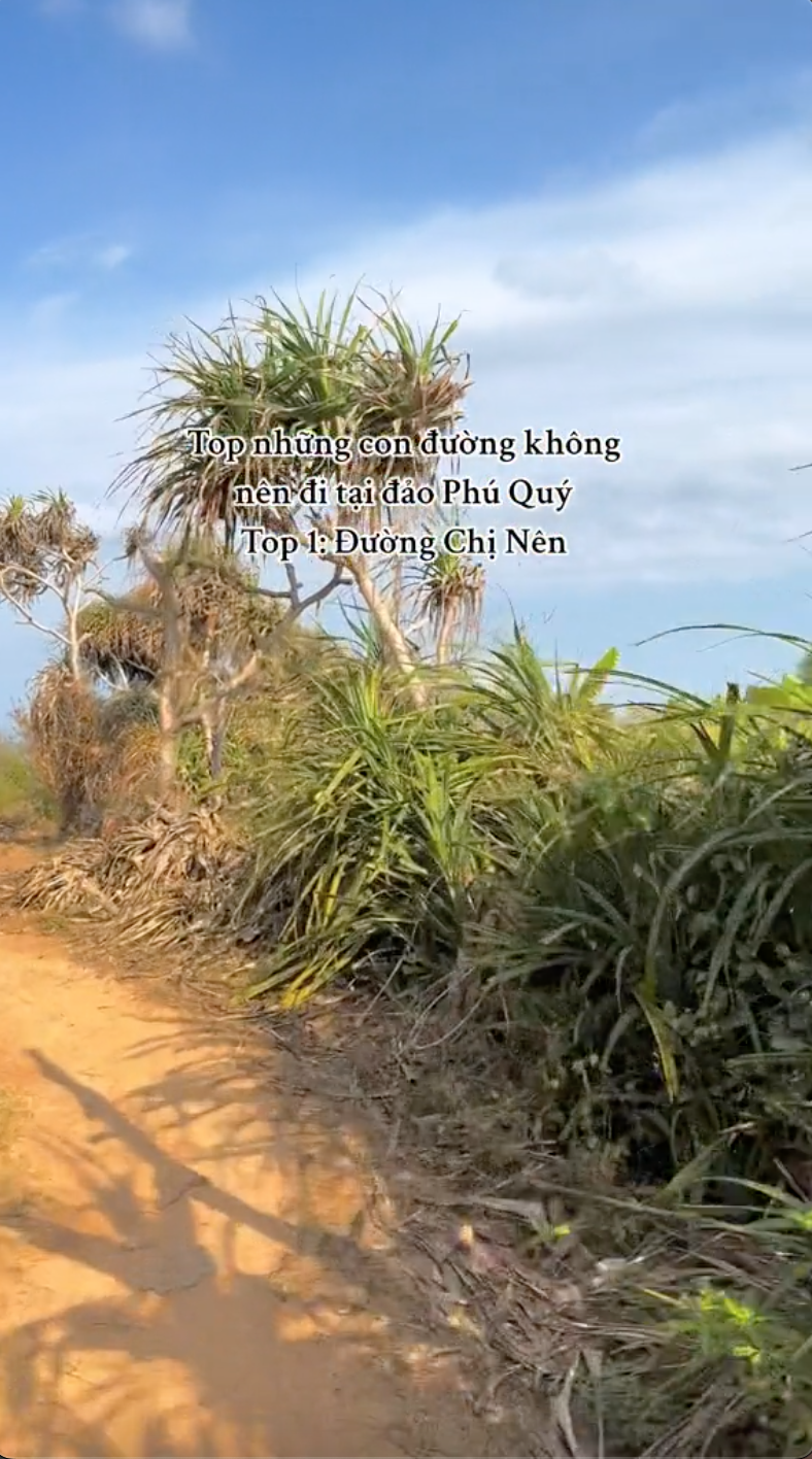 Phát hiện con đường "bí ẩn" ở đảo Phú Quý: Chụp ảnh đẹp nhưng người từng đi khuyên nên "né" vì nhiều lý do- Ảnh 6.