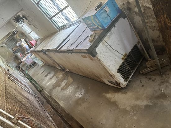 Sốc: 20 xác hổ trong tủ đông ở vườn thú Trung Quốc- Ảnh 1.