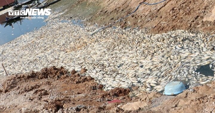 Hơn 100 tấn cá chết trắng lòng hồ Sông Mây, Đồng Nai- Ảnh 2.