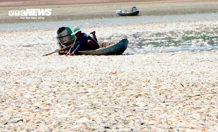 Hơn 100 tấn cá chết trắng lòng hồ Sông Mây, Đồng Nai- Ảnh 1.