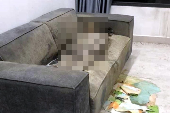 Vụ cô gái tử vong trong chung cư ở Hà Nội: Bác sĩ pháp y lý giải hiện tượng thi thể khô trên sofa- Ảnh 1.