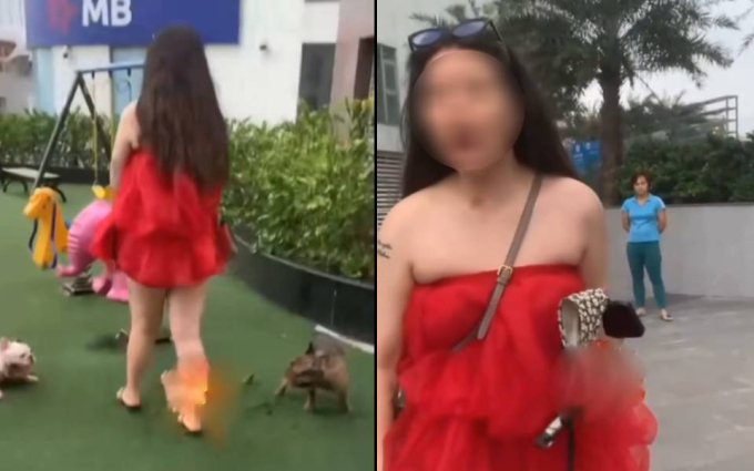 Bị nhắc nhở khi thú cưng phóng uế tại khu vui chơi trẻ em ở Hà Nội, cô gái vẫn cố cãi: "Con chó cũng như trẻ con thôi"- Ảnh 1.