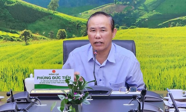 Thông tin quan trọng việc Việt Nam gỡ 'thẻ vàng' thủy sản- Ảnh 1.