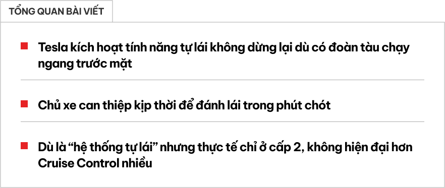 Nhanh tay chiếm lại quyền điều khiển từ 'hệ thống tự lái', chủ xe Tesla thoát chết trong gang tấc- Ảnh 1.