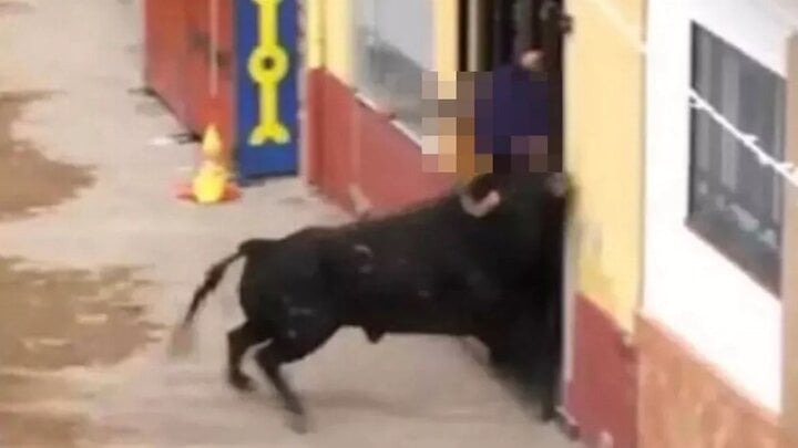 Người đàn ông bị bò húc chết tại lễ hội đua bò Tây Ban Nha- Ảnh 1.