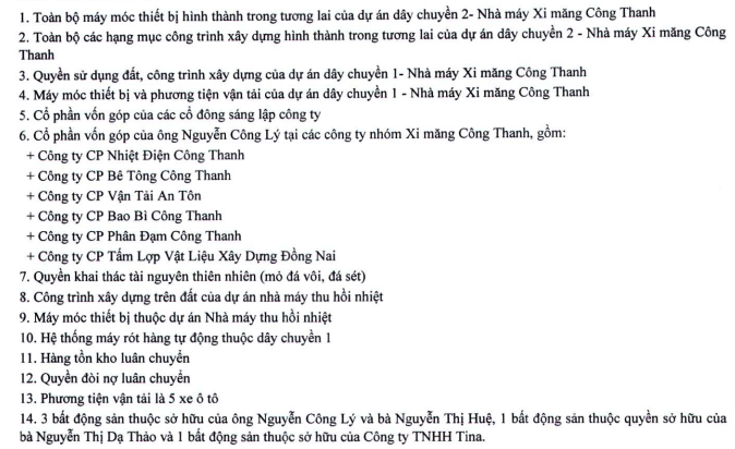 Xi măng Công Thanh báo lỗ hơn 1.800 tỷ, âm vốn hơn 7.000 tỷ, phải trả hơn 10.000 tỷ lãi vay- Ảnh 4.