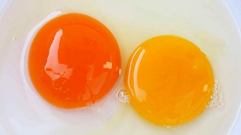 Lòng đỏ trứng gà màu đậm hay nhạt tốt hơn? Sự thật bất ngờ- Ảnh 2.