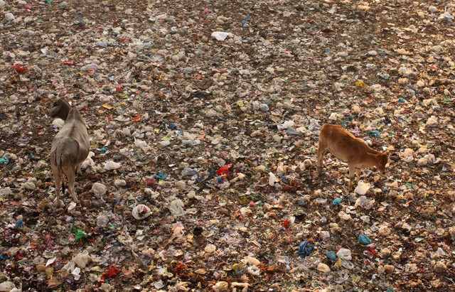 Thành phố "ô nhiễm nhất thế giới": Nơi người dân sống trên núi rác cao 60 mét, sinh tồn phụ thuộc vào rác thải- Ảnh 6.