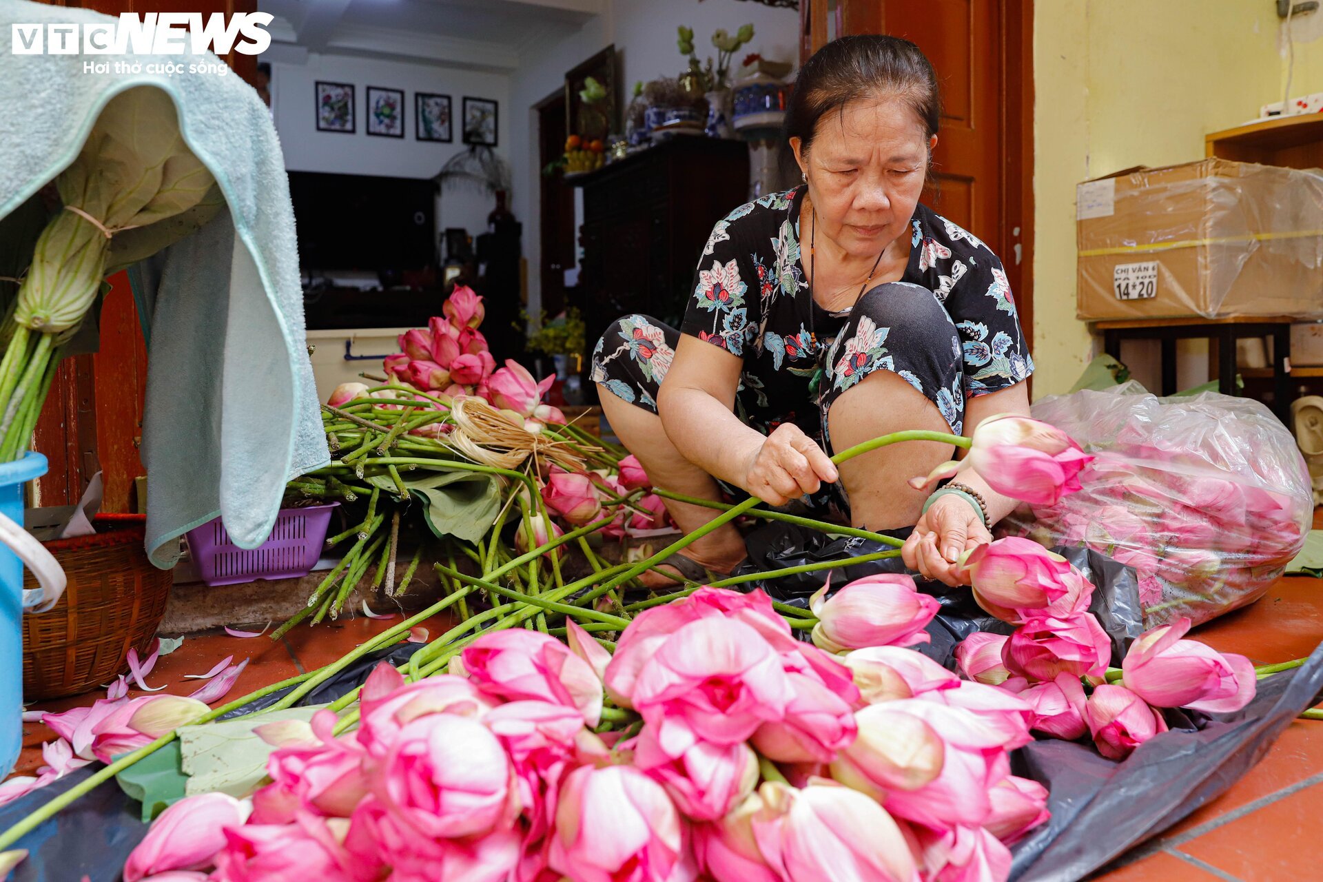 Cận cảnh quy trình ướp loại trà sen đắt đỏ nhất Hà thành, giá chục triệu đồng/kg- Ảnh 4.