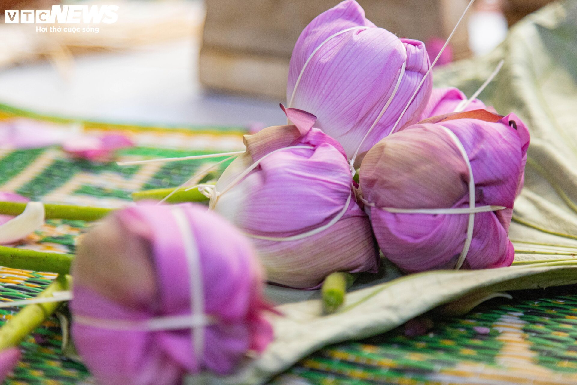 Cận cảnh quy trình ướp loại trà sen đắt đỏ nhất Hà thành, giá chục triệu đồng/kg- Ảnh 15.