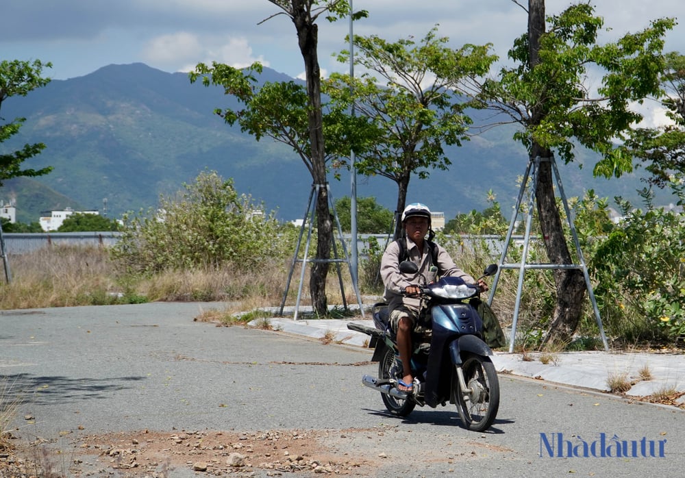 Cảnh hoang tàn khu đất sân bay Nha Trang đang bị Bộ Quốc phòng điều tra- Ảnh 8.