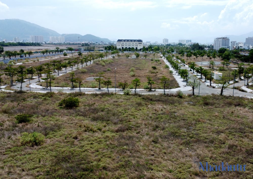 Cảnh hoang tàn khu đất sân bay Nha Trang đang bị Bộ Quốc phòng điều tra- Ảnh 3.