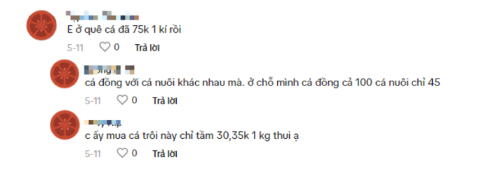 1 tuần đi chợ cho gia đình 4 người hết 264k ở Thái Bình: Giá ở nông thôn rẻ hay người nội trợ biết chi tiêu?- Ảnh 4.