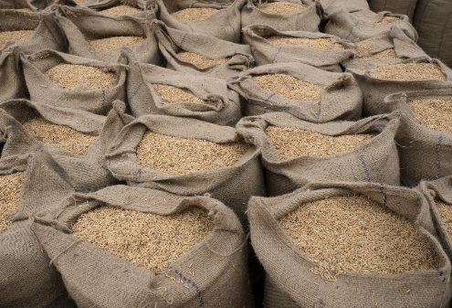 Sau lệnh hạn chế xuất khẩu, gạo Ấn Độ bất ngờ bị người mua ‘xa lánh’ vì lý do này- Ảnh 1.
