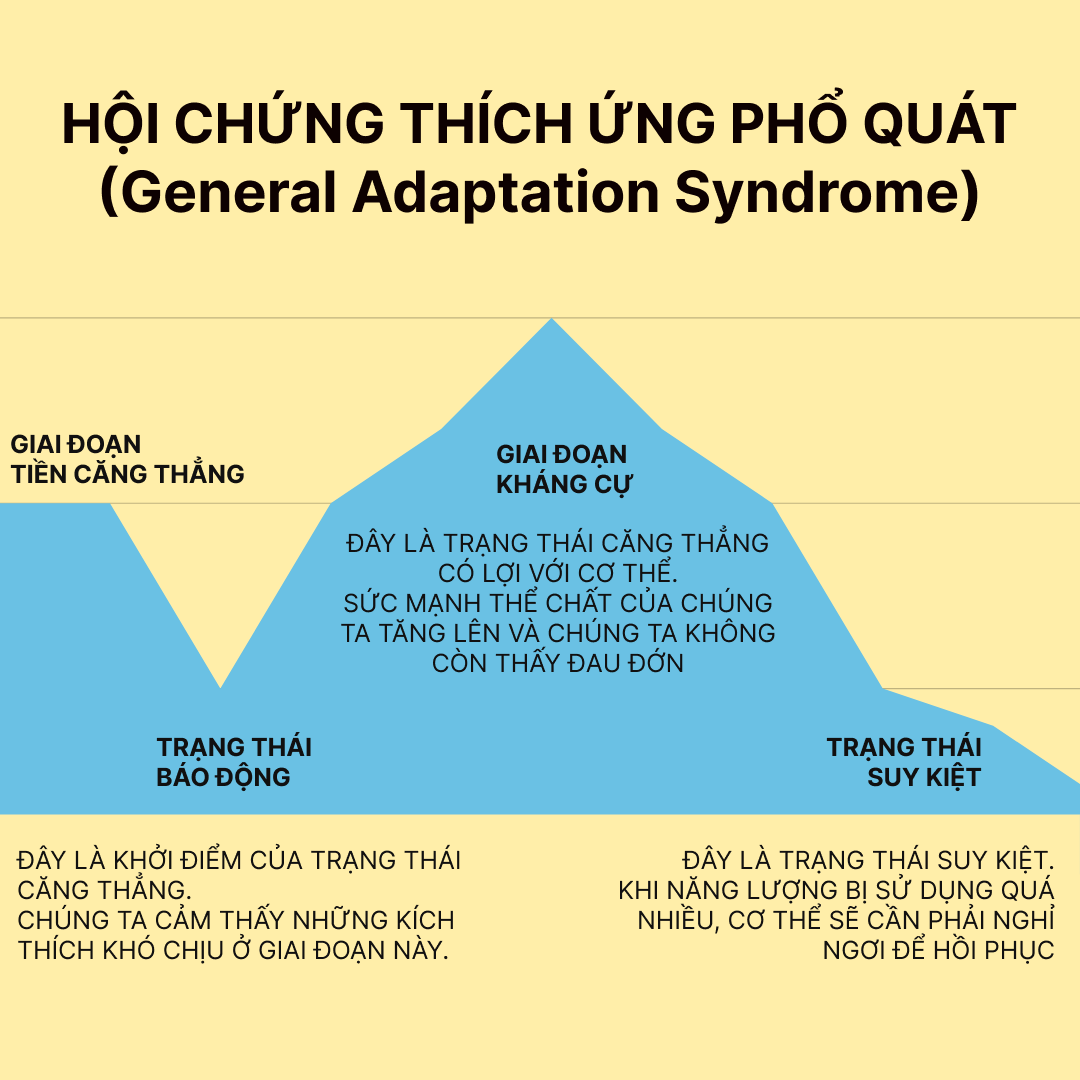 Giải mã trạng thái “siêu sức mạnh” của người hùng đập tường trong vụ cháy ở Trung Kính: Đâu mới là giới hạn thực sự của thể chất con người?- Ảnh 15.