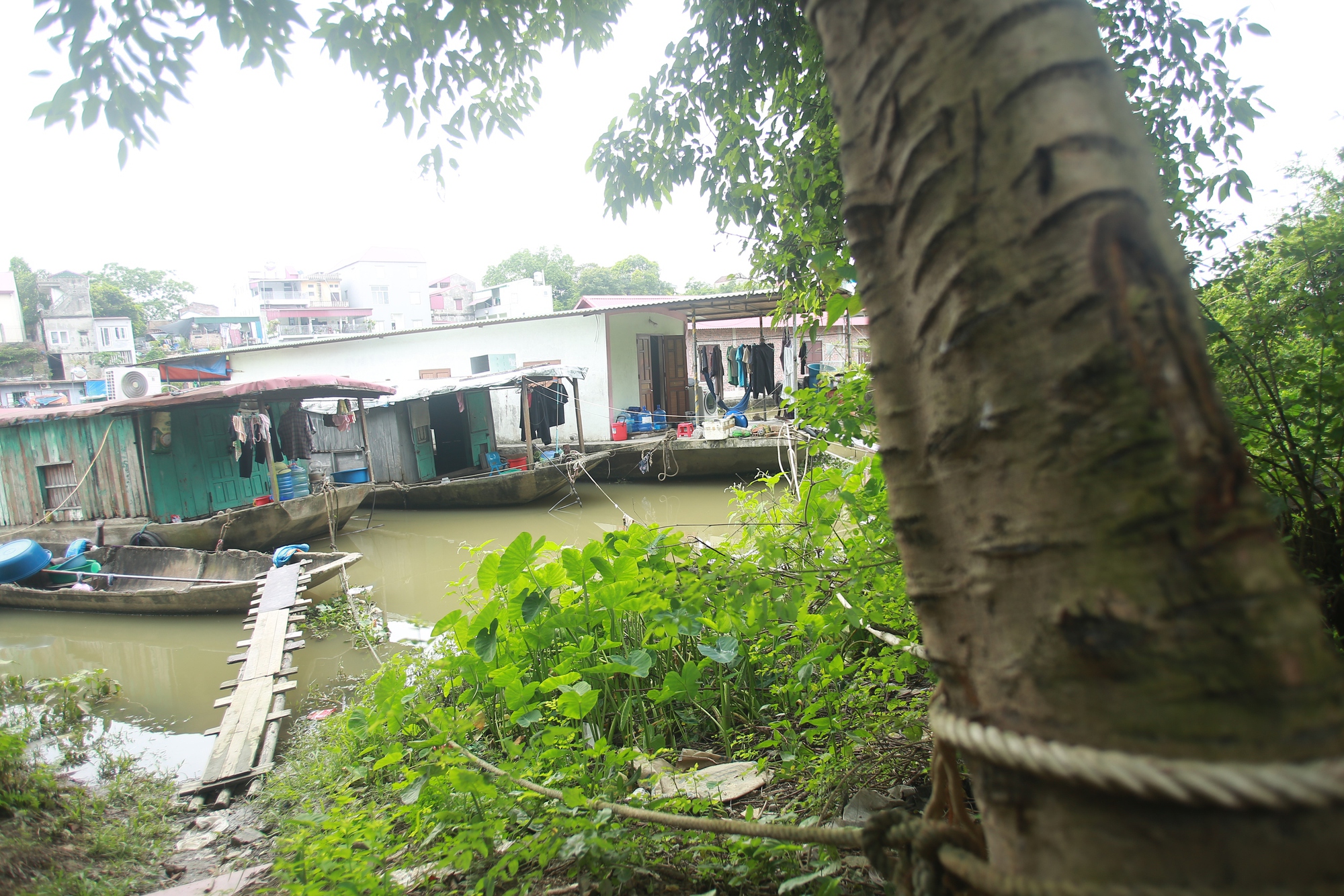 Ngôi làng "không tấc đất" ở Bắc Giang và nỗi niềm của người dân- Ảnh 18.