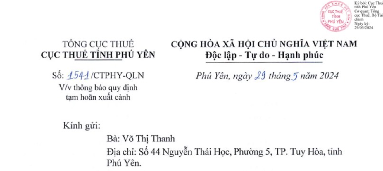 Đề nghị tạm hoãn xuất cảnh đối với Bông hồng vàng Phú Yên- Ảnh 2.