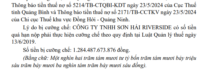 Công ty liên quan đến Tập đoàn Sơn Hải bị cưỡng chế thuế gần 1.300 tỷ đồng- Ảnh 1.