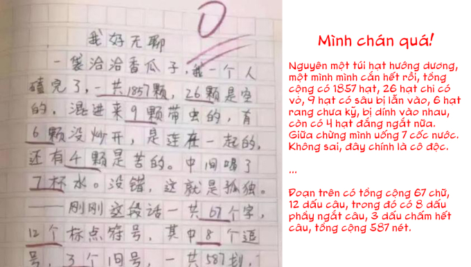 Bài văn 0 điểm của cậu bé tiểu học hot rần rần toàn MXH, khả năng bù số chữ khiến netizen chỉ biết "cam bái hạ phong"- Ảnh 2.