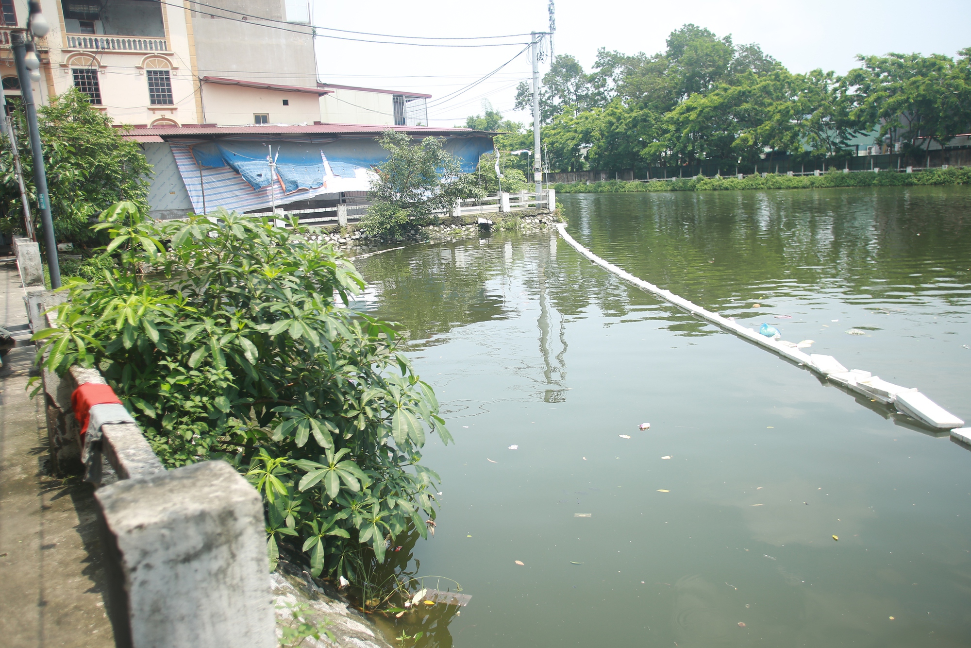 Vụ thi thể đôi nam nữ dưới ao ở Bắc Giang: Người dân kể lại khoảnh khắc ám ảnh khi phát hiện sự việc- Ảnh 2.