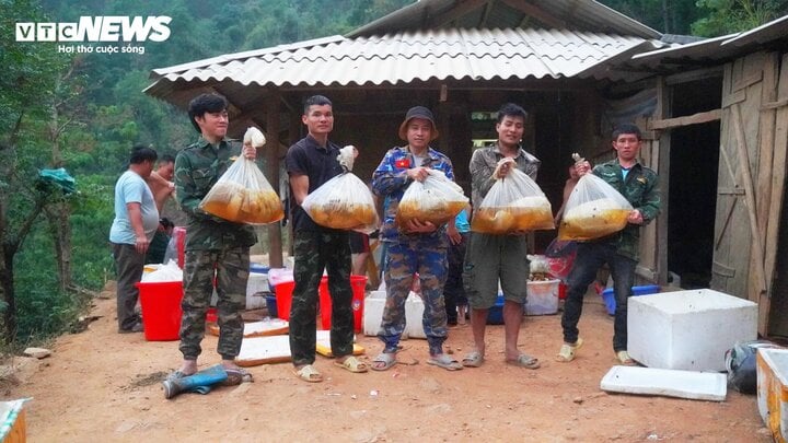 Hốt bạc từ 'cây ong mật' kỳ lạ ở Điện Biên cho hàng tấn mật ong thượng hạng- Ảnh 7.