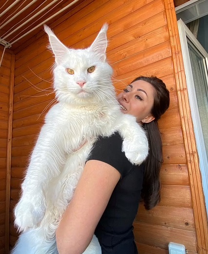 Những con vật &lsquo;đ&ocirc; con&rsquo; nhất thế giới- Ảnh 5.