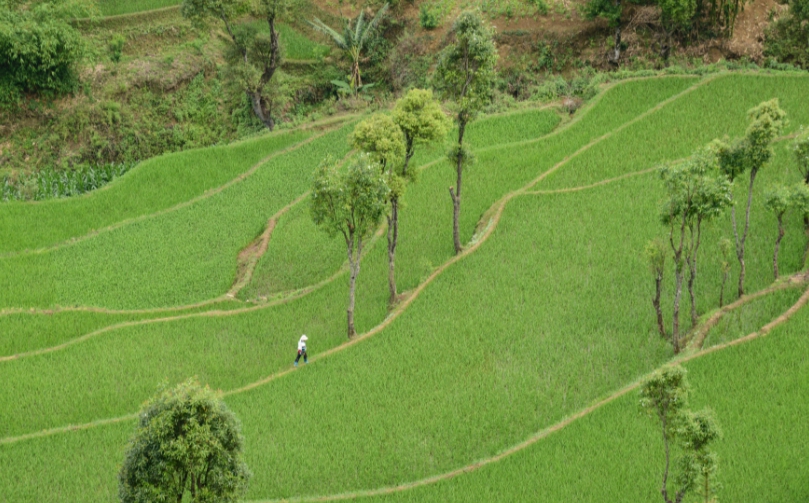 Tự lái xe đi du lịch để tiết kiệm tiền ăn ở nhưng sau vài lần, tôi nhận ra mình đã hoàn toàn sai lầm- Ảnh 5. Tự lái xe đi du lịch để tiết kiệm tiền ăn ở nhưng sau vài lần, tôi nhận ra mình đã hoàn toàn sai lầm- Ảnh 5.