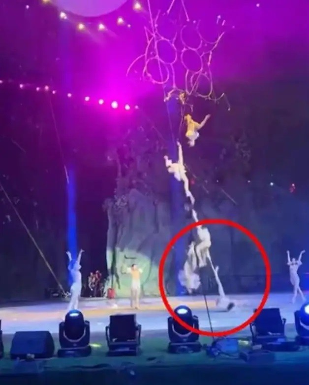 Nguyên nhân cái chết nữ diễn viên xiếc Tâm Ngữ 10 tuổi- Ảnh 1.