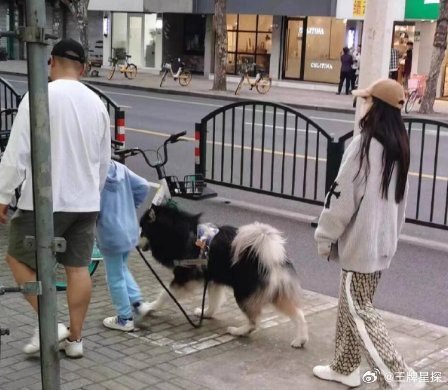 Angelababy bị bắt gặp xuống phố cùng con trai và người đàn ông bí ẩn, đã có tình mới sau hơn 2 năm ly hôn Huỳnh Hiểu Minh?- Ảnh 1.