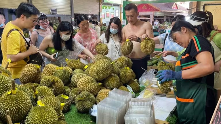 Nikkei: Giá cà phê toàn cầu lập đỉnh vì nông dân Việt Nam làm điều này- Ảnh 3.