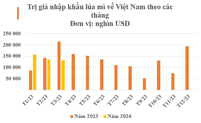 Đua với Nga, một cường quốc đưa báu vật giá rẻ đến Việt Nam: Là ông trùm thứ 5 toàn cầu, nước ta chớp cơ hội vàng nhập hơn 400 triệu USD- Ảnh 3.