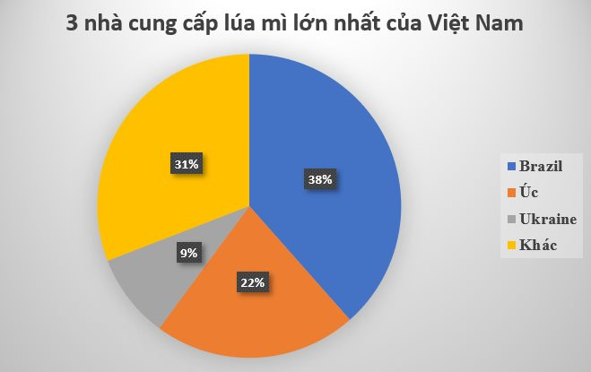 Đua với Nga, một cường quốc đưa báu vật giá rẻ đến Việt Nam: Là ông trùm thứ 5 toàn cầu, nước ta chớp cơ hội vàng nhập hơn 400 triệu USD- Ảnh 5.