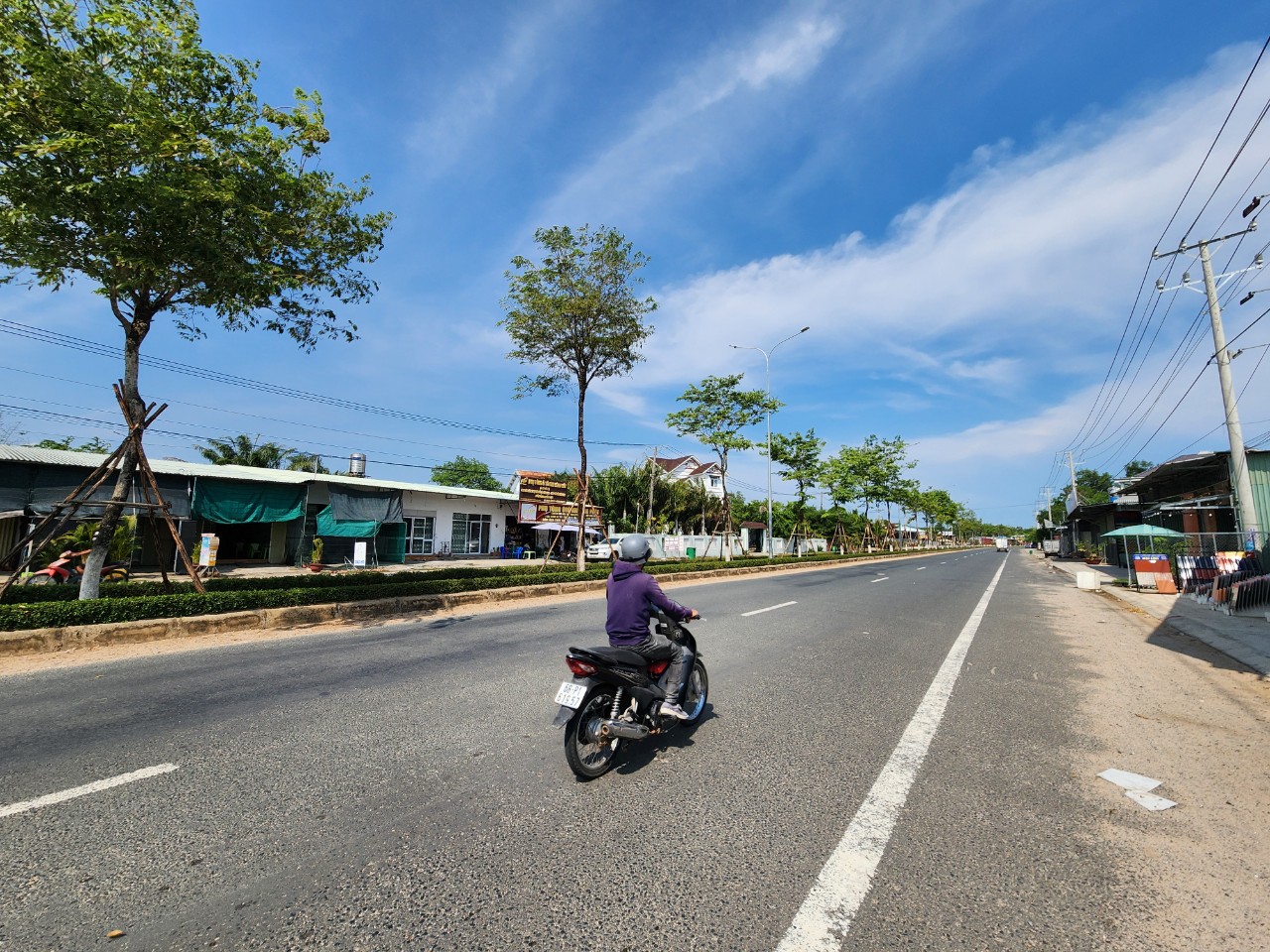 Công ty Cây Xanh Công Minh từng trúng nhiều gói thầu khủng ở Phú Quốc- Ảnh 2.