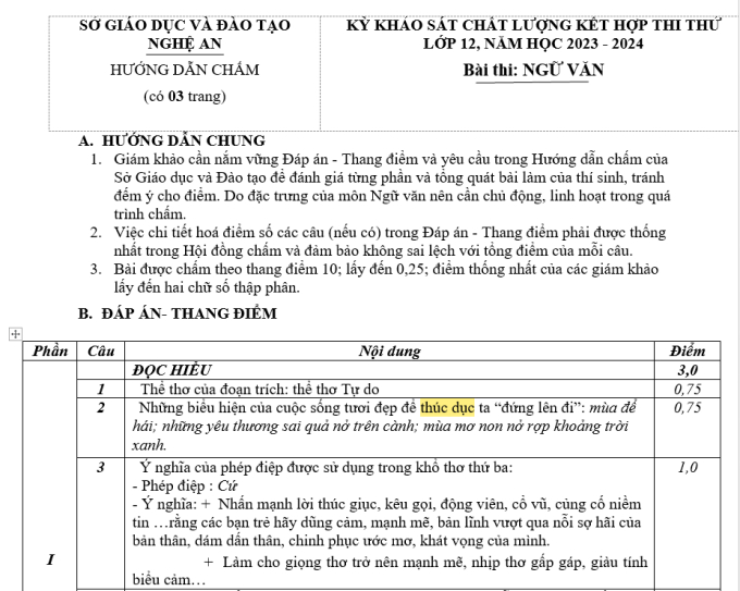 Xôn xao đề thi thử Ngữ văn lớp 12 ở Nghệ An viết sai chính tả một từ đơn giản- Ảnh 2.