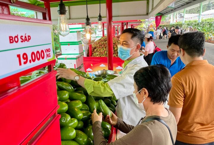 Sầu riêng, vải thiều, bơ khổng lồ... rẻ bất ngờ, khách tấp nập 'mua sập sàn'- Ảnh 5.